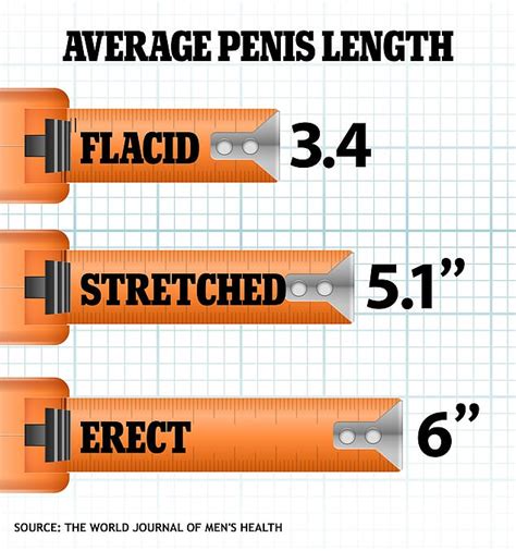 what is a dick rating|Average Penis Size: What Determines It .